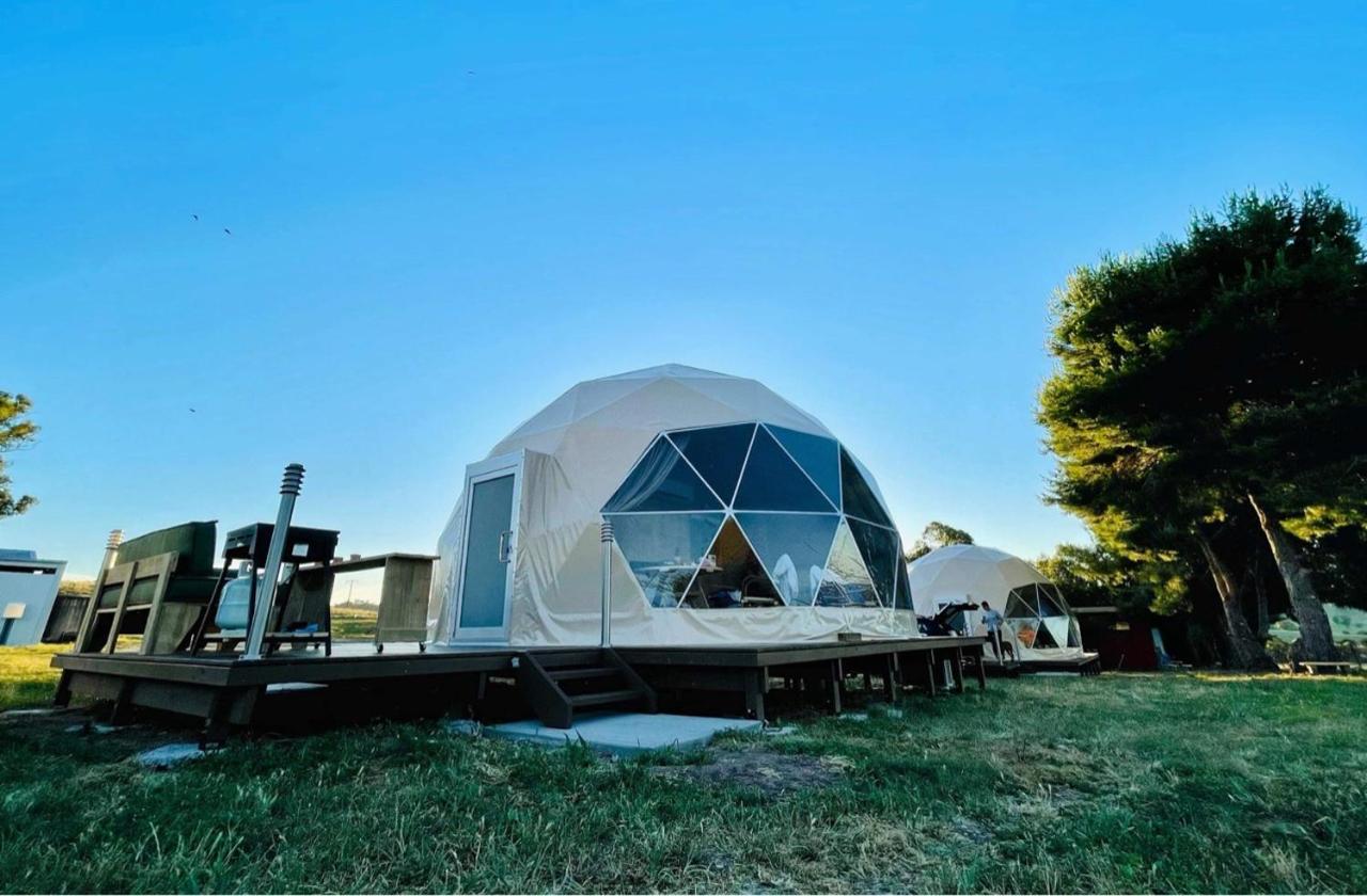 Hillview Farmstay Gundagai Exterior photo