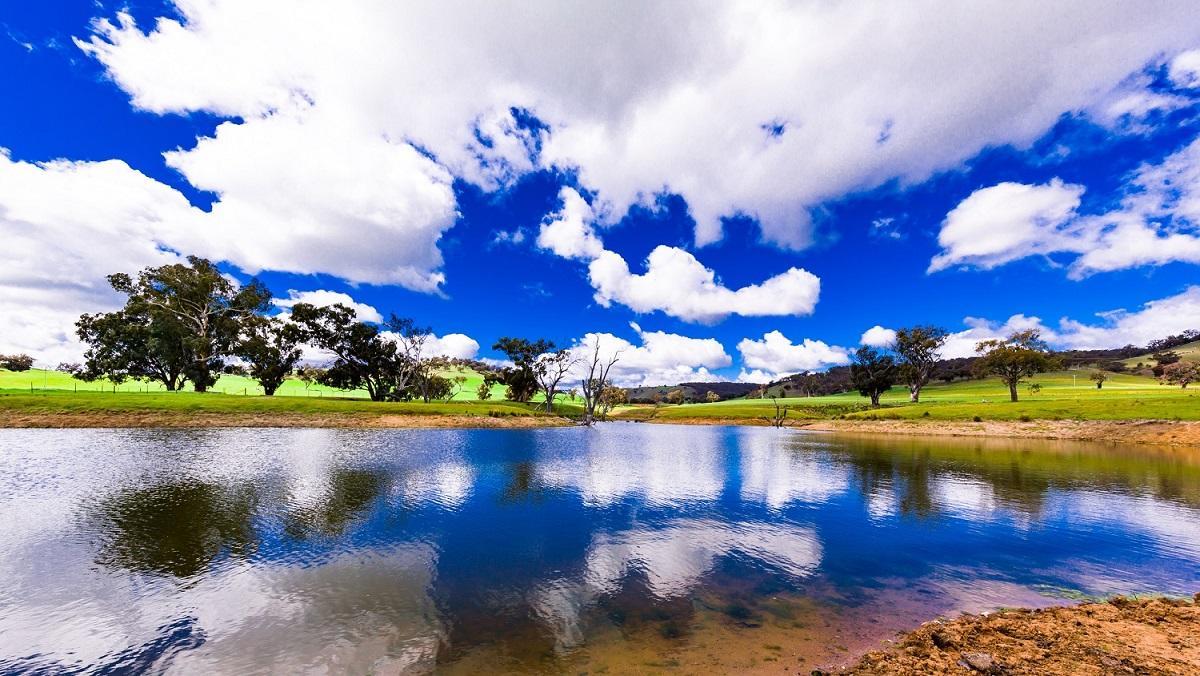 Hillview Farmstay Gundagai Exterior photo