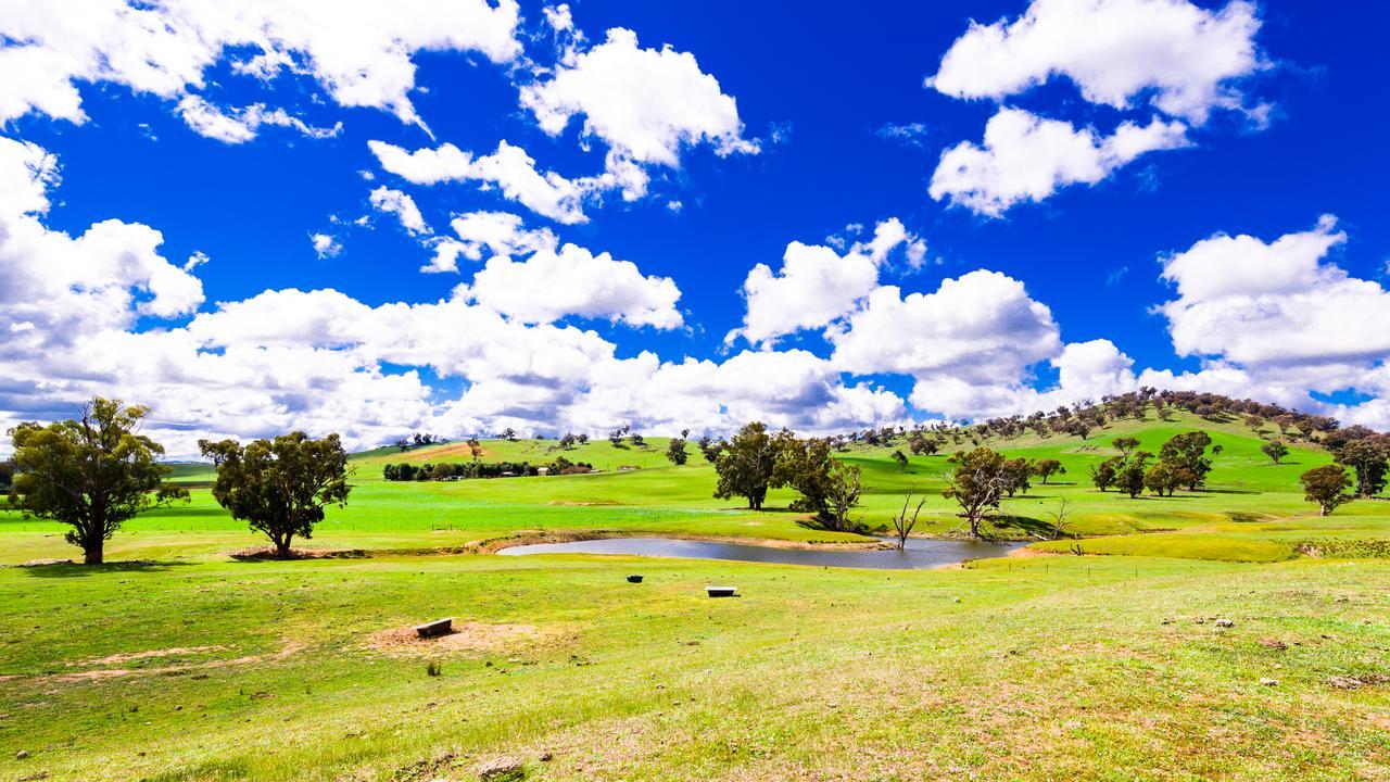 Hillview Farmstay Gundagai Exterior photo