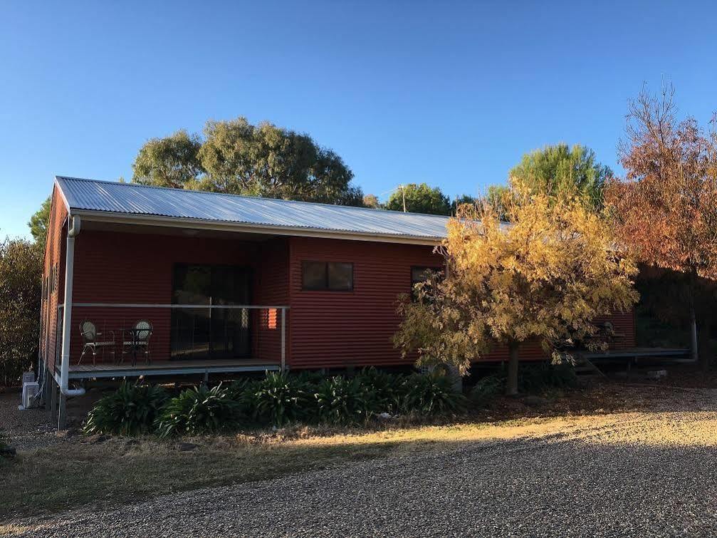 Hillview Farmstay Gundagai Exterior photo